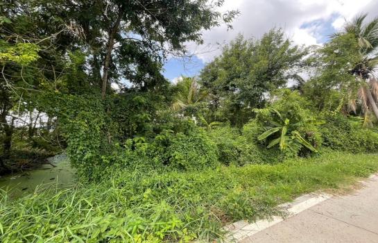 ��ù�¡ �� Estate Corner