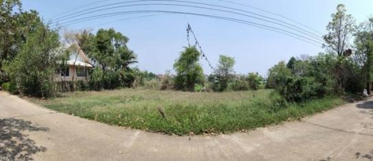 �ҧ�� �� onanong khumaphao