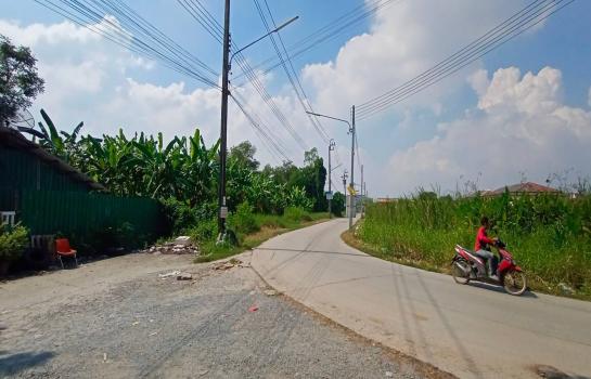 ���١�� �� TheEstate78924