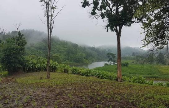 ���ᵧ �� onanong khumaphao