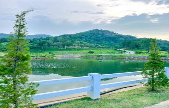 �ҧ�� �� onanong khumaphao