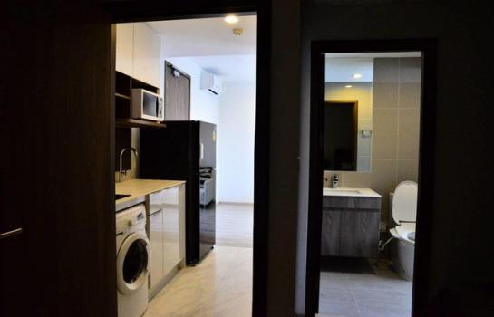 �͹����¢�ҧ ���¢�ҧ