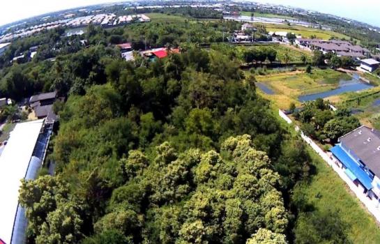 ���Թ Lotus 8 ���