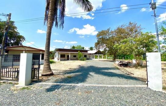 ������� �� onanong khumaphao