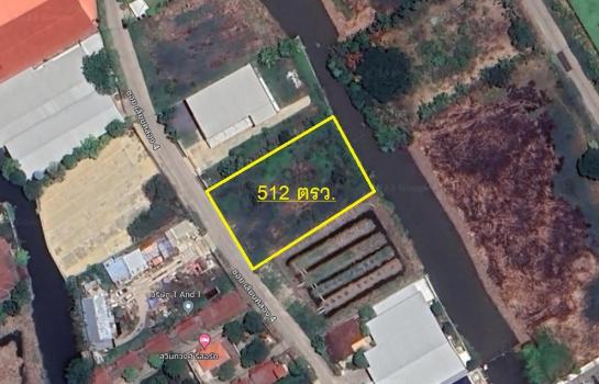 �չ���� �� Patkorn