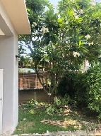 ��ҹ ����� 56.70 ���ҧ��