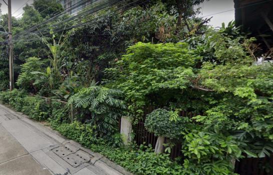 ���Թ�Ѳ�� �� HarrisonTH