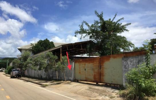 �����⢷�� �� panaya.opalopal