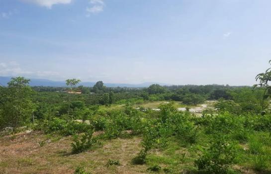 ���ͧ �� tayapornaik1