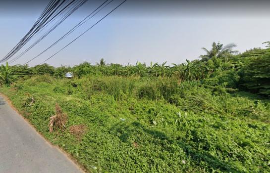 �֧���� �� HarrisonTH