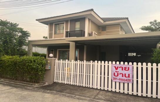 ����Ҫ� �� sopa