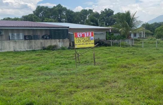 ʧ��� �� zionasset1