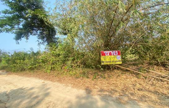 ʧ��� �� zionasset1