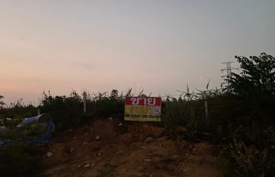 ���ʧ��� �� zionasset1