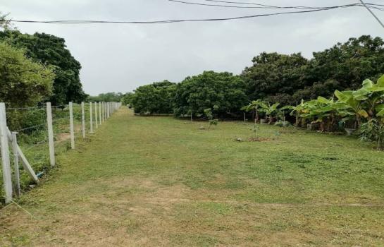 ����ҧ �� onanong khumaphao