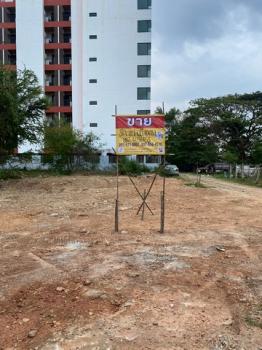 ���ʧ��� �� zionasset1