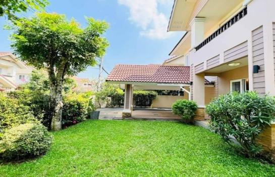 �ҧ�� �� onanong khumaphao