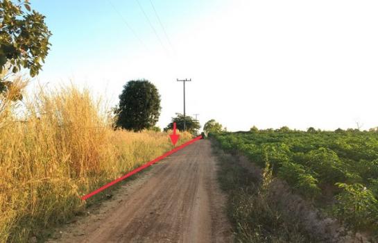 ��¢͹�� �� panaya.opalopal