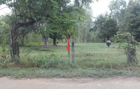 ��¡���Թ��� �� compos2566