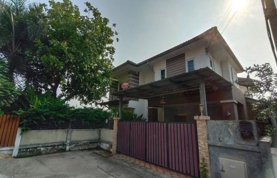 �����ҹ� �� Danial Danderm