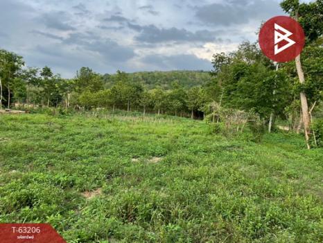 ��ɳ��š �� The Best Property Agent