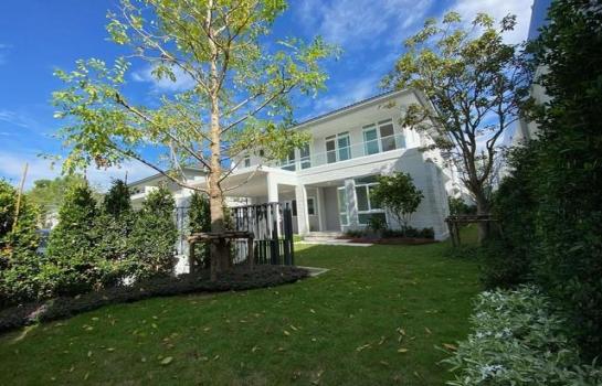 ������ �� asangha PL