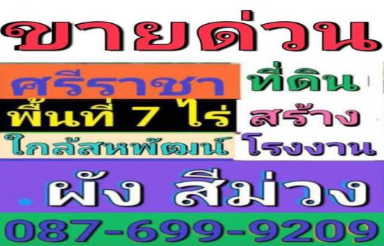 �ź��� �� TheEstate78924