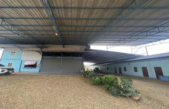 �Ҫ���� �� 1000property