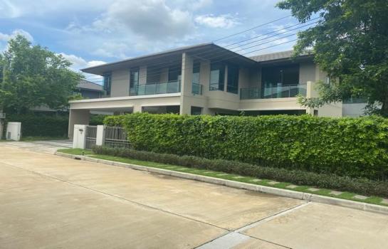 ����Ѳ�� �� coasset22