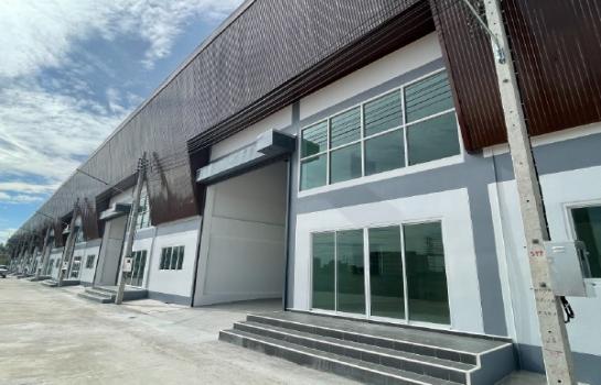 �ç�ҹ 9 ���