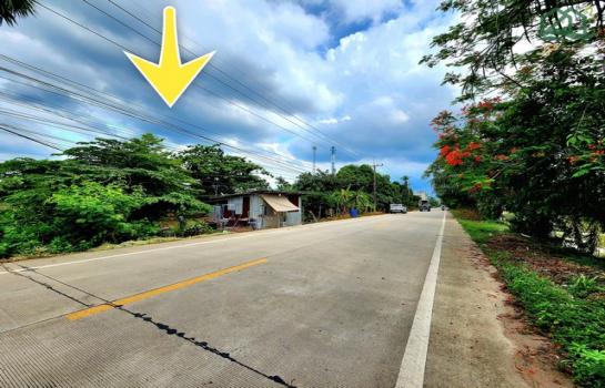 ������� �� janejane