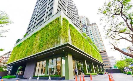 ����Ѳ�� �� incube