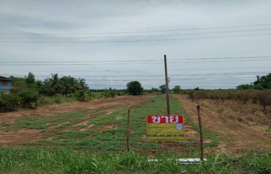 ����ʧ �� zionasset1