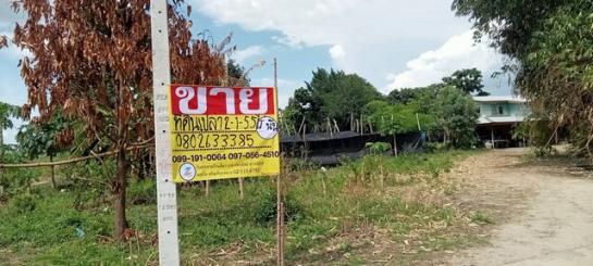 ������ �� zionasset1