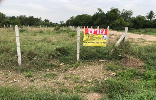 ������ �� zionasset1