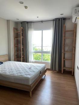 ������¢�ҧ �� incube