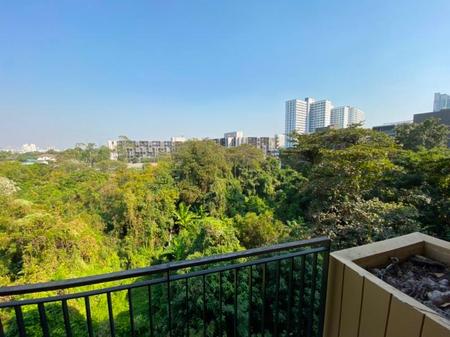 ����Ѳ�� �� incube