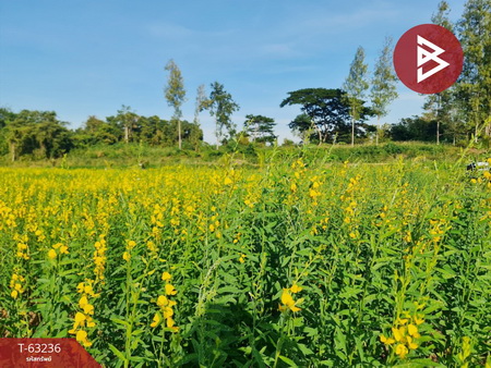 ྪú��� �� The Best Property Agent