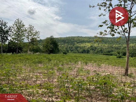 ��ɳ��š �� The Best Property Agent