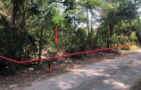 �͹�� �� compos2566