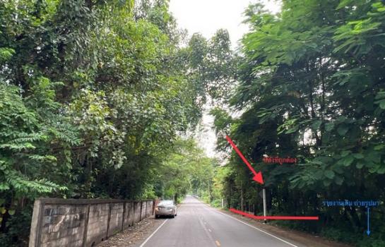 ��¢͹�� �� compos2566