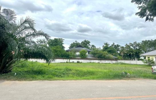 ���Թ�ҧ�� �� Sawasdee