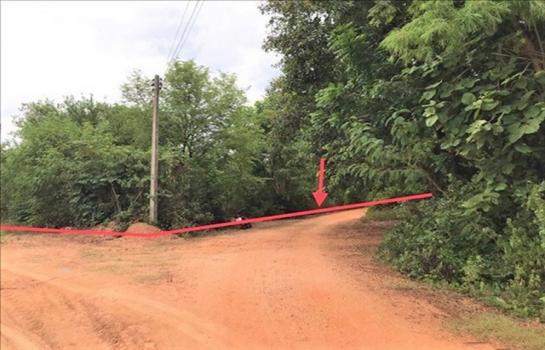 ��¢͹�� �� compos2566