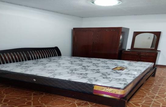 �Ң�ѭ �Ź�����