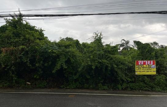 ���ʧ��� �� zionasset1