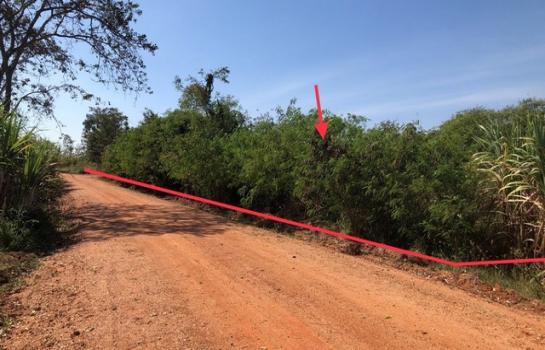 �͹�� �� compos2566