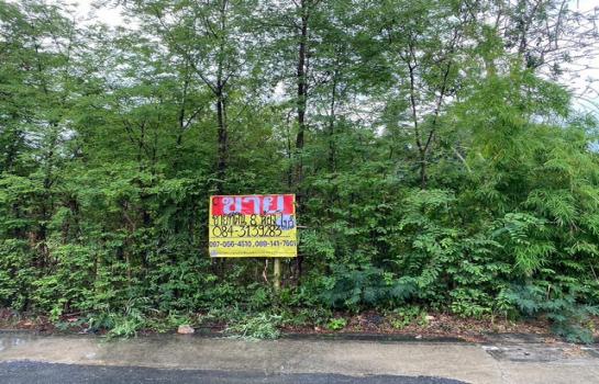 ���ʧ��� �� zionasset1