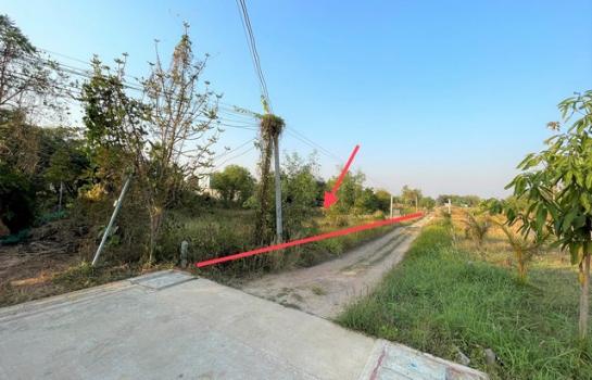 ˹ͧ���� �� panaya.opalopal