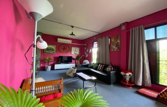 �Ң�ѭ �Ź�����