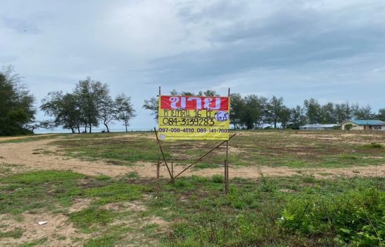 ���ʧ��� �� zionasset1